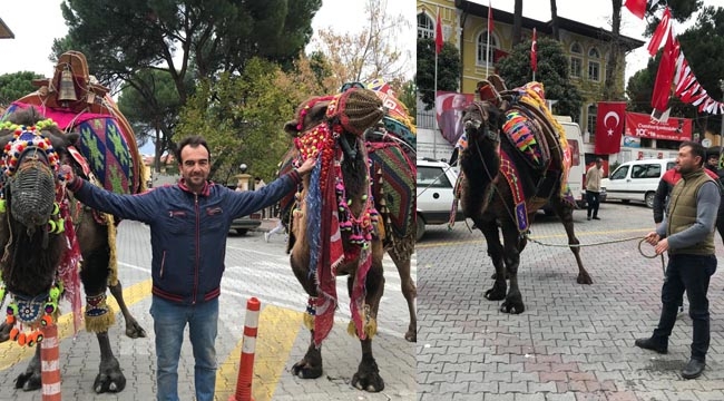 Develer gövde gösterisi yaptı