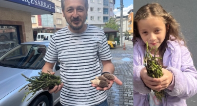 DOĞADAN LEZZET FIŞKIRIYOR