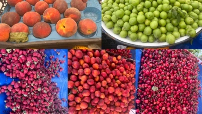SOĞUK VURDU, FİYATLAR UÇTU
