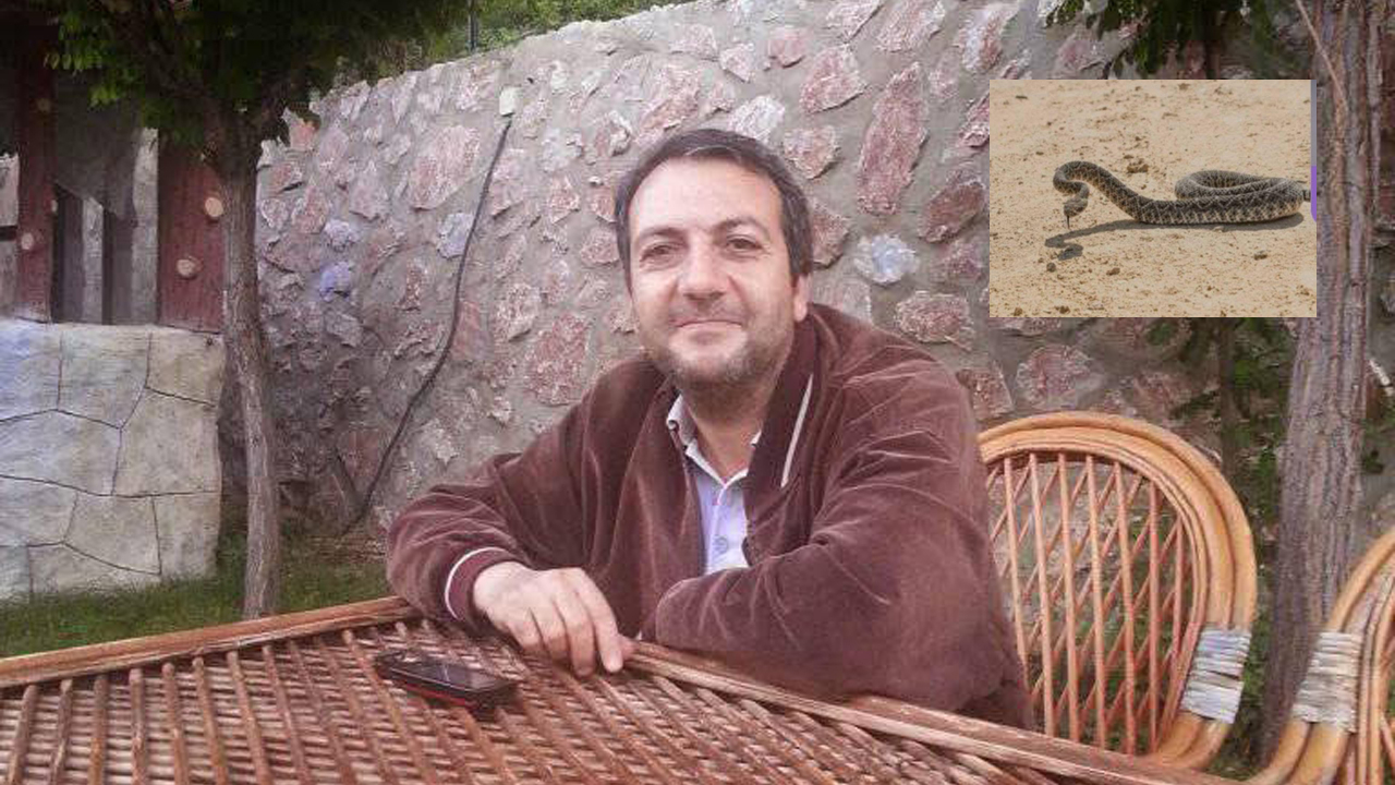 YILAN TARAFINDAN ISIRILAN GENÇ HASTANEYE KALDIRILDI