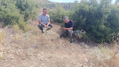 YABAN HAYATI FOTOKAPANLARLA İZLENECEK