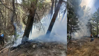 TEKKE BÖLGESİNDE ORMAN YANGINI