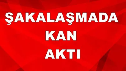GENÇLERİN ŞAKALAŞMASI KANLI BİTTİ