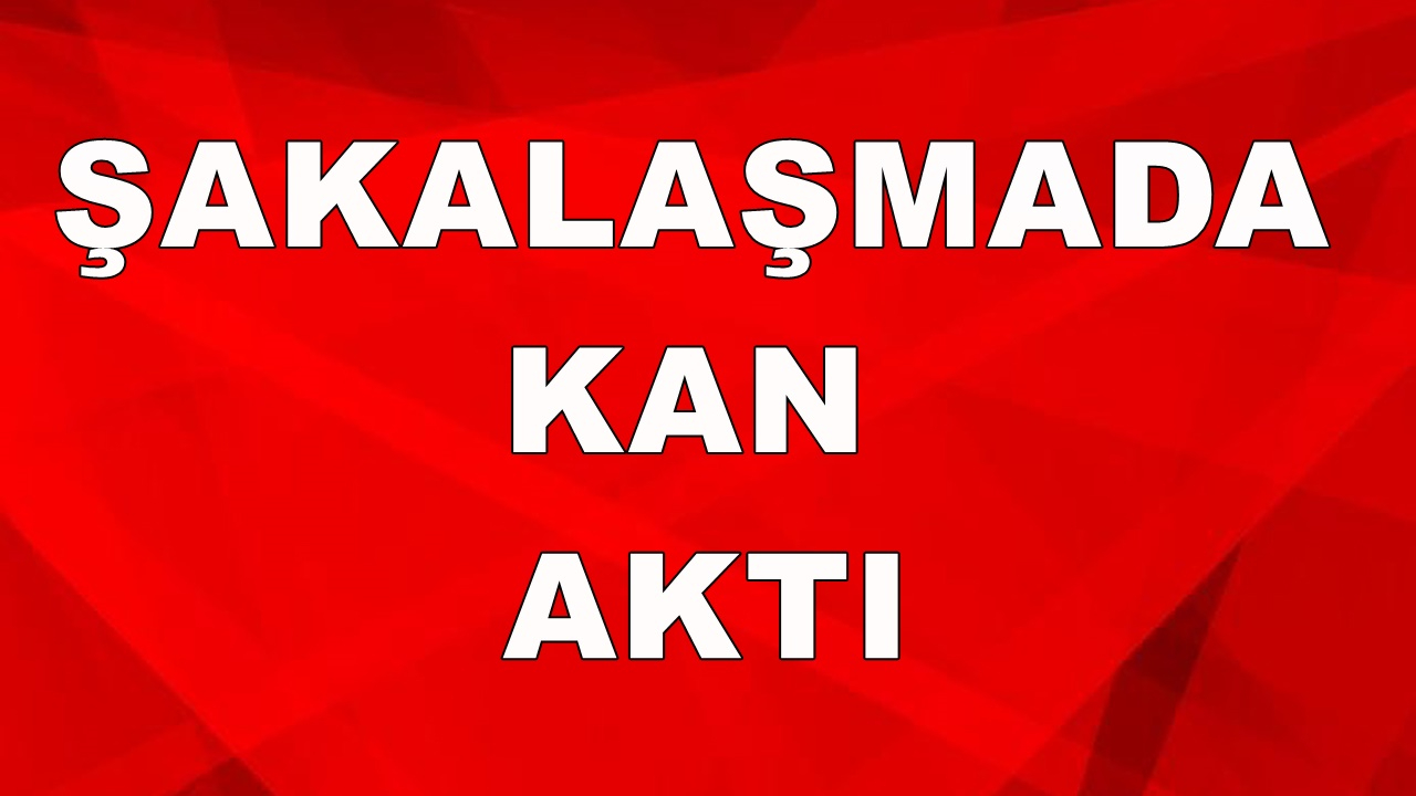 GENÇLERİN ŞAKALAŞMASI KANLI BİTTİ