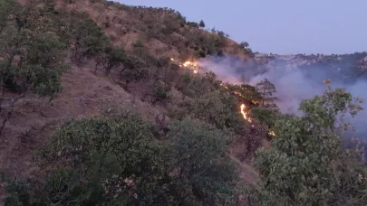ÇATAK- KIZILDERE ARASINDA ORMAN YANGINI ÇIKTI