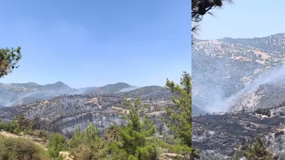 YANGINLA MÜCADELE TÜM HIZIYLA DEVAM EDİYOR