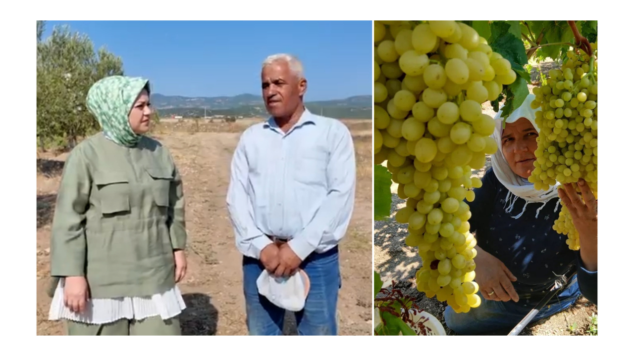 MİLLETVEKİLİ ÜN&#039;DEN KUM OCAĞI TEPKİSİ