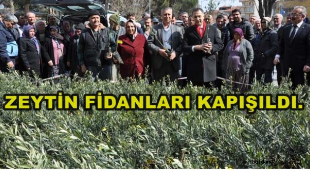 6 BİN 250 FİDAN YARIM SAATTE DAĞITILDI.