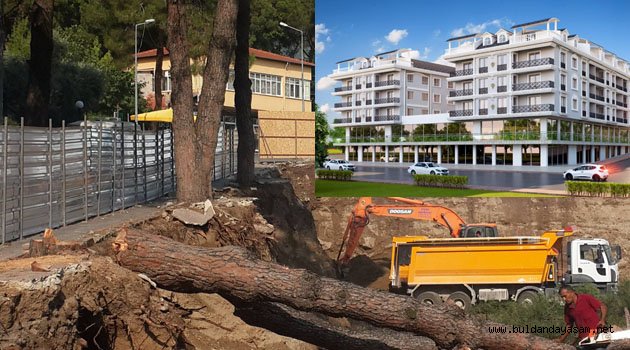 “AĞAÇLAR TEHLİKE ARZETTİĞİ İÇİN BELEDİYEDEN İZİN ALMADAN KESTİK”