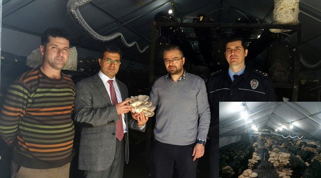 ALTERNATİF KAZANÇ KAPISI: MANTARCILIK