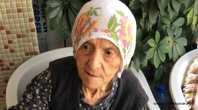 ASIRLIK ÇINAR HAYATINI KAYBETTİ