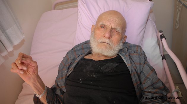 ASIRLIK ÇINAR