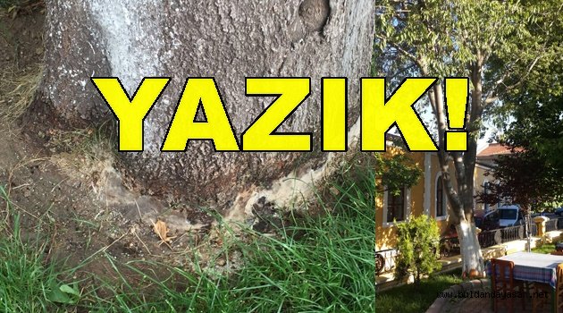 ASİTLİ SALDIRI MI..?
