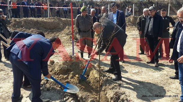 BELEDİYEDEN AĞAÇLANDIRMA SEFERBERLİĞİ