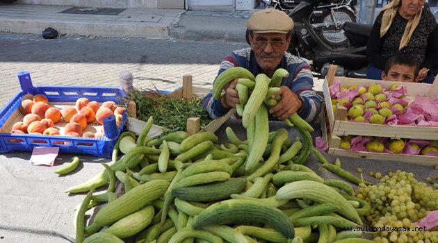 BİZ ACURU ÇOK SEVERİZ.