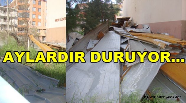 BU MOLOZLAR BURAYA YAKIŞIYOR MU?