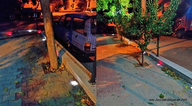 BU TAŞLAR IŞIK SAÇIYOR