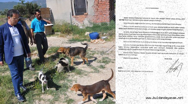 BULDAN BELEDİYESİNDEN AÇIKLAMA: “ÇARESİZ KALDIK”