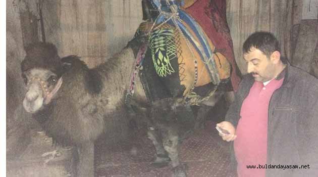 BULDAN’DA ARIZA VAR