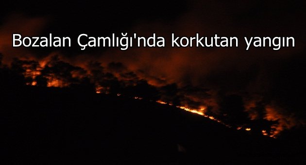 BULDAN'DA ORMAN YANGINI