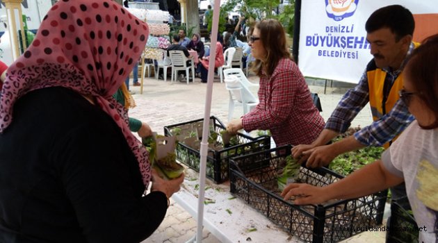 BÜYÜKŞEHİR BELEDİYESİ FESLEĞEN DAĞITTI.