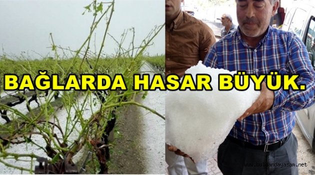 DOLU BAĞLARI FENA VURDU.