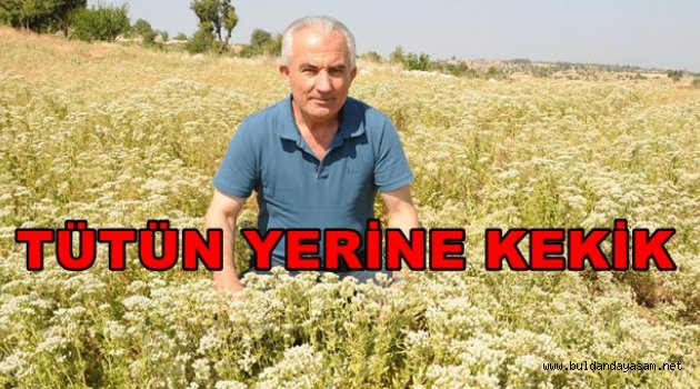 DÜNYANIN KEKİĞİ DENİZLİ’DE ÜRETİLİYOR