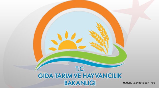 ESNAFA EĞİTİM ÇAĞRISI