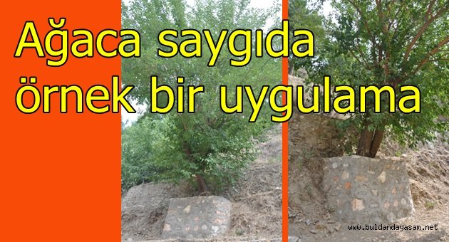 GÖZLERİMİZ YAŞARDI