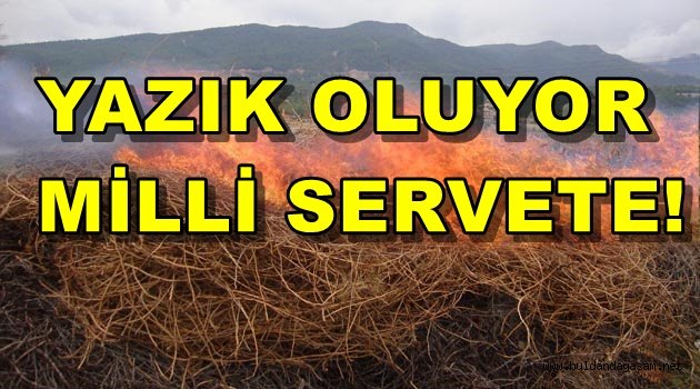 HEM ÇEVRE KİRLİLİĞİ OLUŞUYOR HEM DE MİLLİ SERVET YOK OLUYOR.