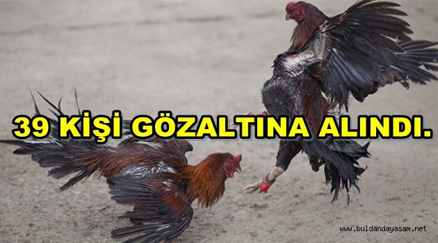HOROZCULARA BASKIN!