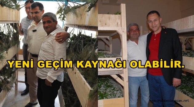 İPEK KIZ