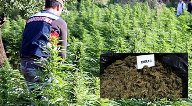 JANDARMA DAN MÜTHİŞ OPERASYON