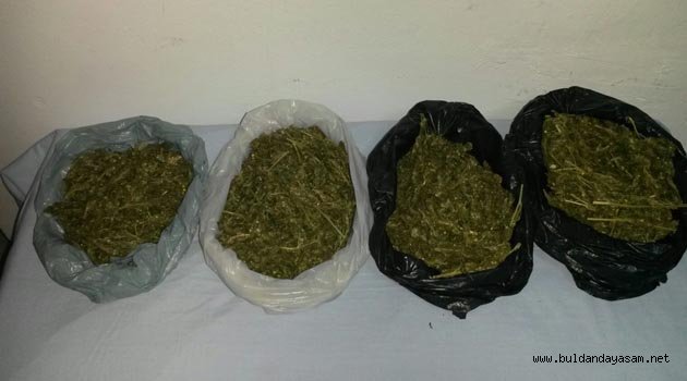 JANDARMA GÖZ AÇTIRMADI