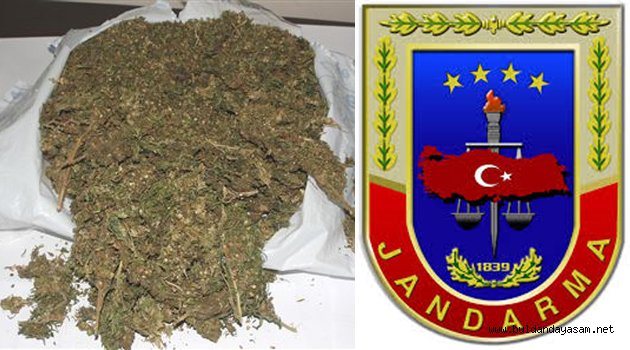JANDARMA ZEHİR TACİRİNE GÖZ AÇTIRMADI