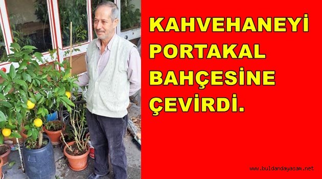 KAHVEDE PORTAKAL YETİŞTİRDİ