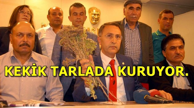 KEKİKTE SIKINTI BÜYÜK…!