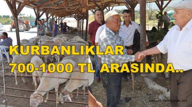 KURBAN PAZARI AÇILDI.