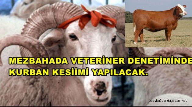 KURBANLARINIZI BELEDİYE MEZBAHASINDA KESTİREBİLİRSİNİZ.