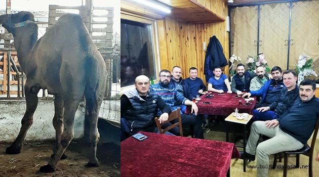 ON ORTAK DEVEYE GİRDİ
