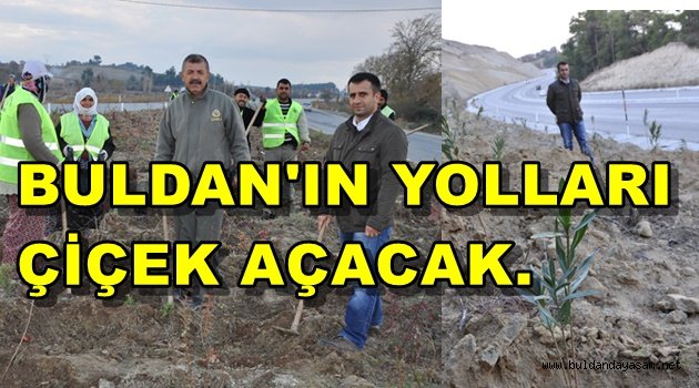 ORMAN, BULDAN YOLLARINA 20 BİN FİDAN DİKİYOR.