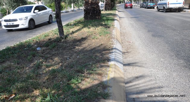 REFÜJDEKİ ÇİMLER KURUYOR