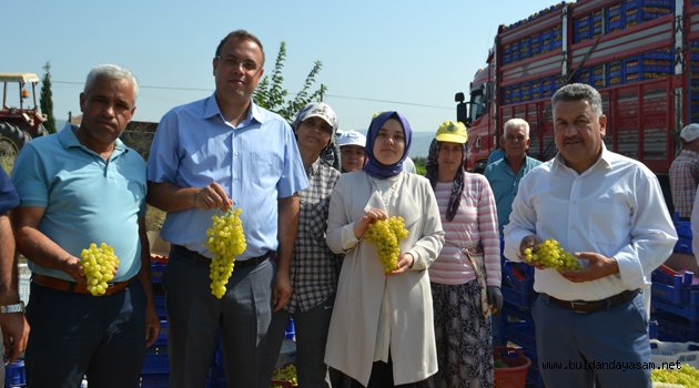 REKOLTE DÜŞÜK