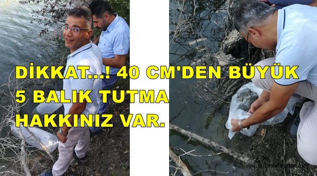 SAZANLAR BULDAN GÖLETLERİYLE BULUŞTU