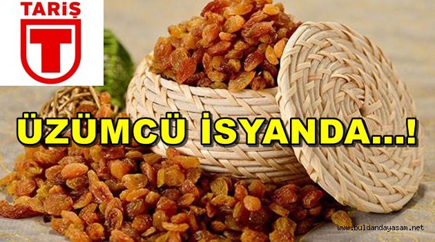 TARİŞ, ÜZÜME DEVLET MÜDAHALESİ İSTEDİ.