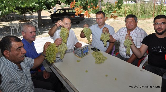 YENİCE FESTİVALİ İÇİN SON HAZIRLIKLAR TAMAMLANDI.