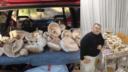 DOĞANIN MUCİZESİ ÇINTAR