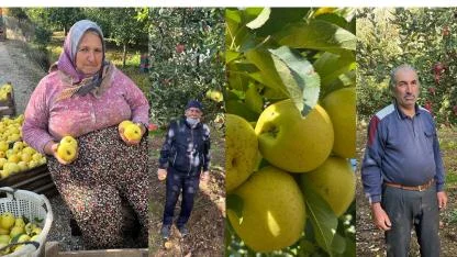 ELMADA VERİM VE KALİTE YÜKSEK