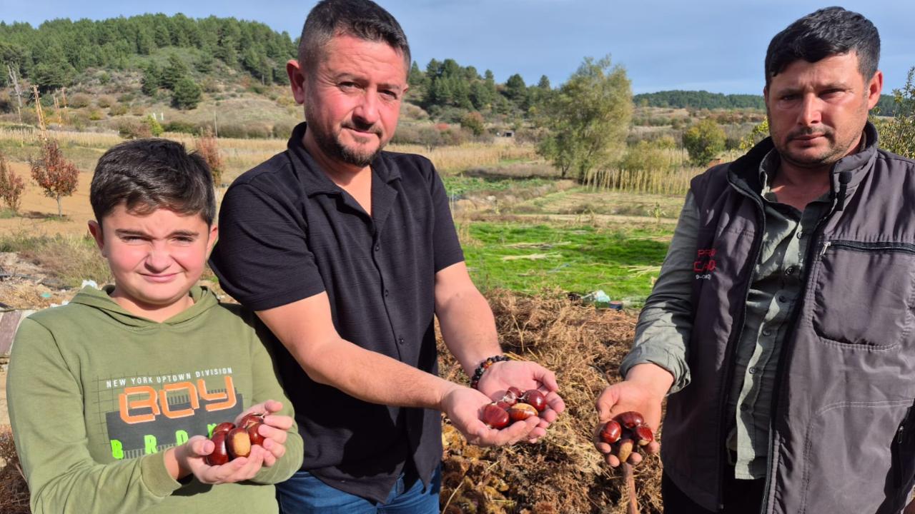 1000 RAKIMDA YETİŞİYOR, TADINA DOYUM OLMUYOR