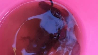 TATLI SU SEMENDERLERİ DOĞAYA BIRAKILDI